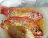 Foto del paso 2 de la receta: Mojarra marinada saludable