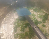 Foto del paso 2 de la receta: Garbanzos con arroz, chistorra y beicon ahumado