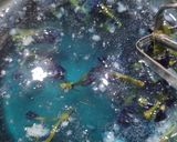 Foto langkah ke 2 dari resep Ocean Blue Drink.