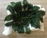 A picture of step 1 of Vegetarian tart.