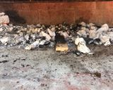 Foto del paso 2 de la receta: Pollo a la parrilla sabrosón
