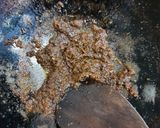 Foto langkah ke 2 dari resep 898. Rendang Jengkol.