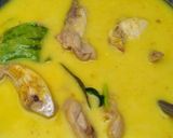 Foto langkah ke 5 dari resep Opor ayam enak.
