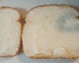 A picture of step 1 of Leftover Pineapple Sandwich.