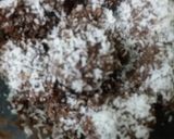 A picture of step 5 of Coconut Dates Chocolate.