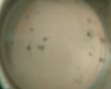 Foto langkah ke 2 dari resep Puding Coklat Susu.