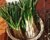 Foto del paso 3 de la receta: Calçotada
