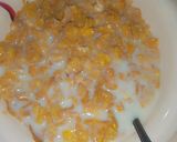 Corn flakesmatakin girki1 hoto