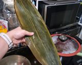 Foto langkah ke 4 dari resep Bacang Ketan.