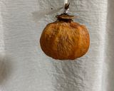 A picture of step 4 of Dried Persimon.