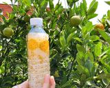 Hình bước làm 6 của món Thạch dừa 3 vị 🌴