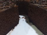 Chiffon coklat