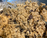 Foto del paso 2 de la receta: Galletas de avena, plátano y chips de chocolate 🍪