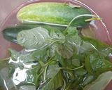 Foto langkah ke 1 dari resep Green Smothies.