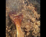 Foto del paso 6 de la receta: 🍄Risotto de setas🍄