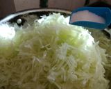 A picture of step 13 of Fafada-Kadhi with Grated Raw Papaya.