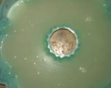Foto langkah ke 3 dari resep Puding Pepsi Blue isi Kelapa Muda.