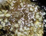 A picture of step 7 of Aloo matar gravy with Hari pyaz ki bhujiya.