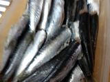 Sardinas escabeche