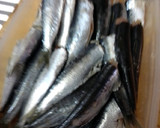 Foto del paso 1 de la receta: Sardinas escabeche