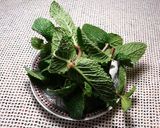 Foto del paso 2 de la receta: Té verde con hierbabuena