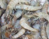 Foto langkah ke 1 dari resep Udang Tempura.