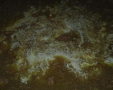 Foto del paso 2 de la receta: Salsa de paté para carnes y pasta