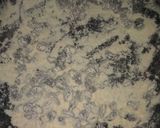 Foto del paso 2 de la receta: Mantecada