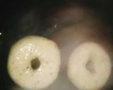Foto del paso 4 de la receta: Pan de arroz y maicena con semillas en sartén !!!Sin tacc!! 👌👍👏