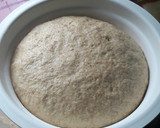 Foto del paso 4 de la receta: Pan dulce con harina integral y harina de avena🎄