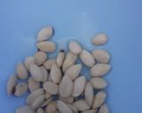 A picture of step 3 of Moroccan Almond Milkshake.