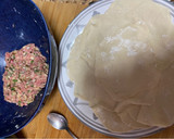 Foto del paso 4 de la receta: Dumplings chinos