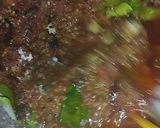 Foto langkah ke 3 dari resep Sambal Hitam Khas Bebek Madura.