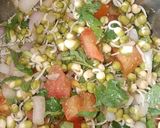 ફણગાવેલા મગ (Sprout Moong Recipe In Gujarati) રેસીપી સ્ટેપ2ફોટો