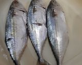 Foto langkah ke 1 dari resep Ikan Kembung Tumis Cabe Ijo.