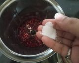 દાડમ નું જ્યુસ (Pomegranate Juice Recipe In Gujarati) રેસીપી સ્ટેપ2ફોટો