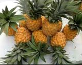 Foto langkah ke 1 dari resep Nanas Madu Krispy.