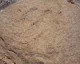 Foto del paso 4 de la receta: Pan casero de salvado
