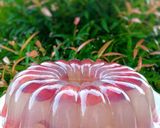 Foto langkah ke 6 dari resep Puding Anggur.