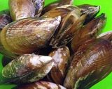 Foto del paso 1 de la receta: Moules Frites