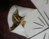 صورة لخطوة 8 من وصفة فطاير الدجاج 😍😋