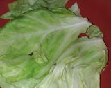 Foto del paso 5 de la receta: 🇫🇷Choux farcis "Ménagére"🇫🇷 Col rellena "ama de casa"
