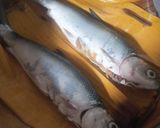 Foto langkah ke 5 dari resep Otak-otak Bandeng khas Gresik.