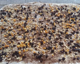 Foto del paso 4 de la receta: Torta de 80 golpes