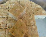 এঁচোড়ের ধোঁকা(enchorer dhoka recipe in Bengali) রেসিপির ধাপ 2 ছবি