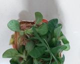 Foto del paso 1 de la receta Sándwich vegetal con atún....🥑🍅🥬