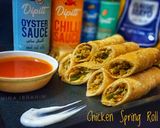 A picture of step 16 of Chicken Spring Roll.