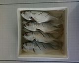 Foto langkah ke 1 dari resep Ikan kembung goreng sambal Dabu-dabu.