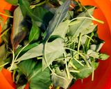 Foto langkah ke 1 dari resep Jangan Kangkung (Tumis Kangkung).