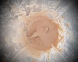 Foto del paso 1 de la receta: Pancake Vegano